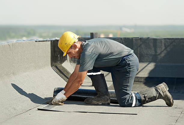 Best Insulation Removal  in Toona, AL